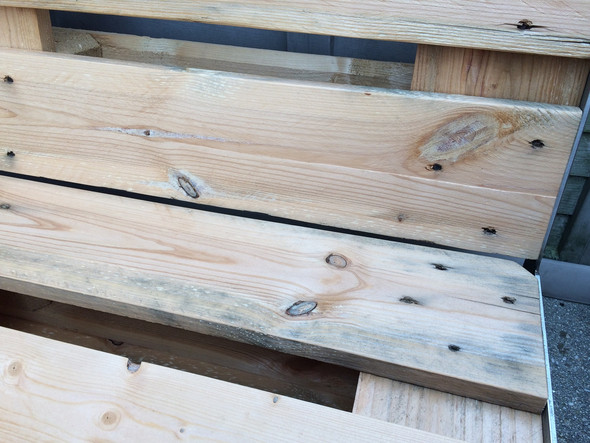 Europalette Schimmelt Was Soll Ich Machen Holz Schimmel Palette
