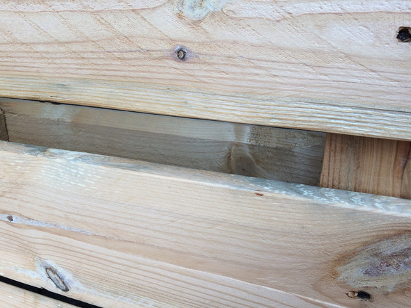 Europalette Schimmelt Was Soll Ich Machen Holz Schimmel Palette