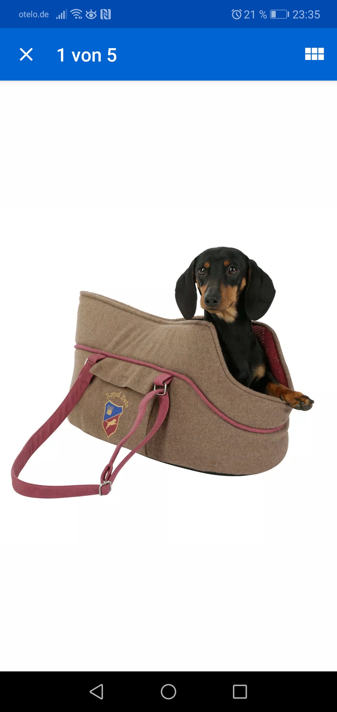 eurowings transport fur hund reisen und urlaub