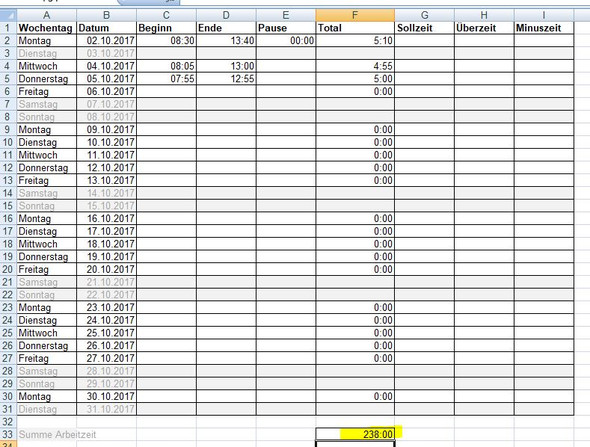 Ansicht Excel-Tabelle - (Microsoft Excel)