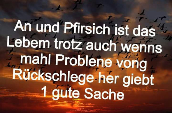 Download Freche sprueche provokant For Android Free Freche Sprueche Provokant