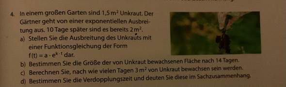 Bild zum Beitrag