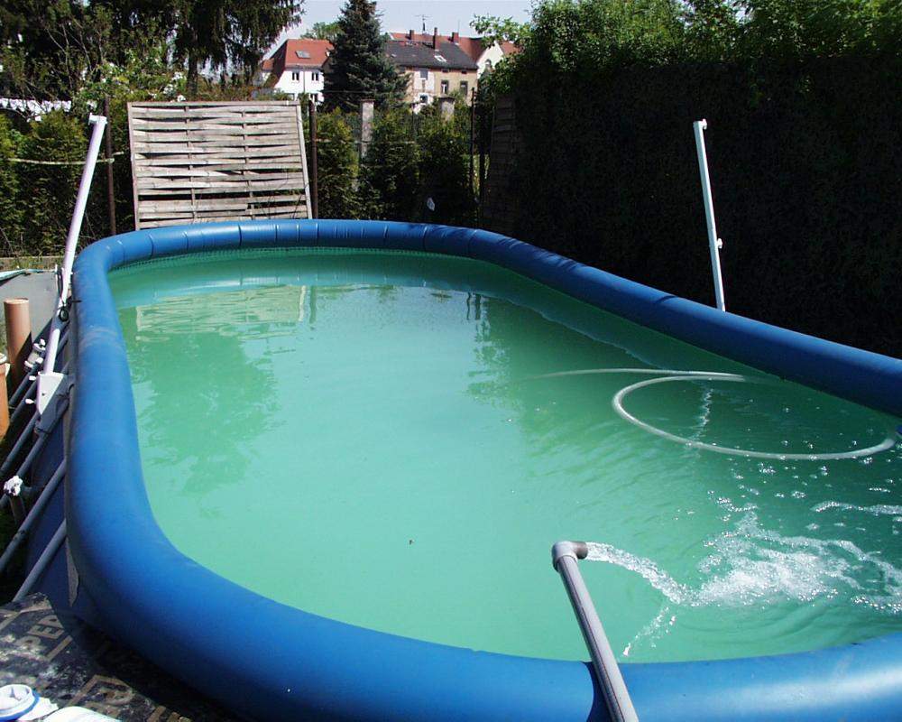 Extrem grüner Pool (Freizeit, schwimmen)