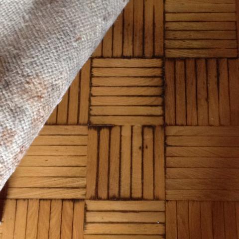 Extreme Schaden An Teppich Und Boden Hilfe Schimmel Retten Ammoniak Extreme Schaden An Teppich Und Boden Hilfe Schimmel Retten Ammoniak