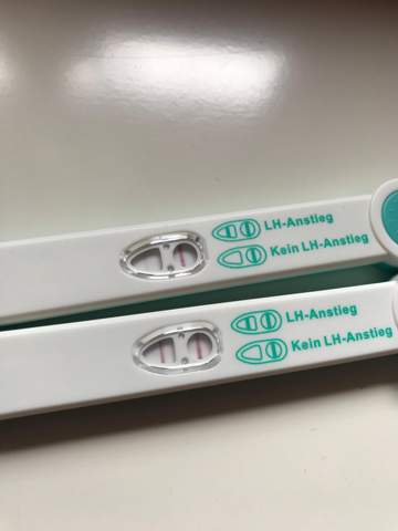 Facelle Ovulationstest Geht Da Noch Was Kinderwunsch Facelle Ovulationstest Geht Da Noch Was Kinderwunsch
