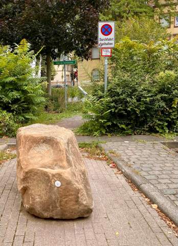 Bild zum Beitrag