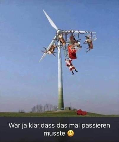 Bild zum Beitrag
