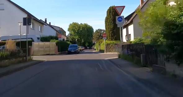 Bild zum Beitrag