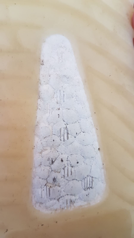 yeezy cream legit check