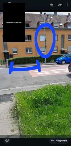 Bild zum Beitrag