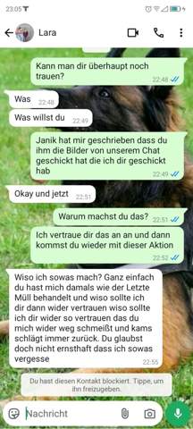 Bild zum Beitrag