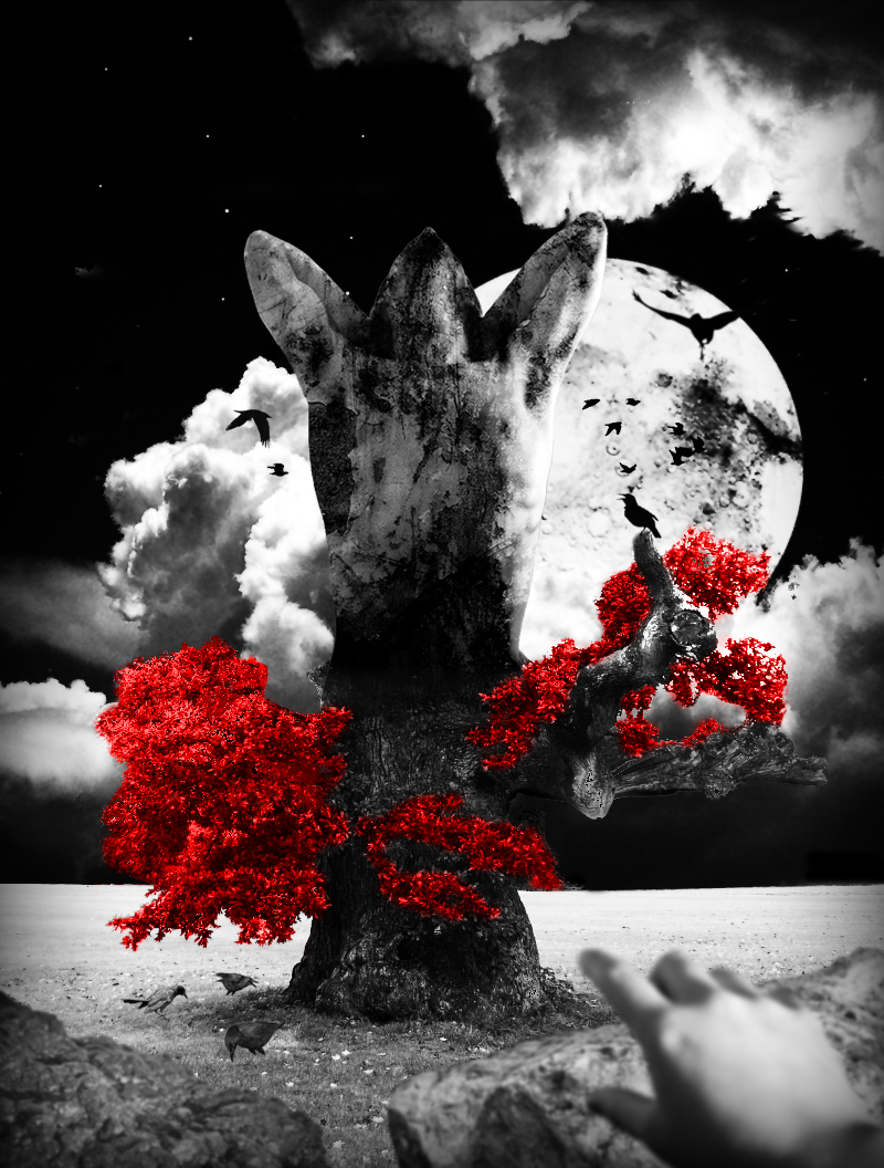 fantasy bilder selbst erstellen (pc, internet, programm) Küchenzeile Selbst Erstellen ~ fantasy bilder selbst erstellen (pc, internet, programm)