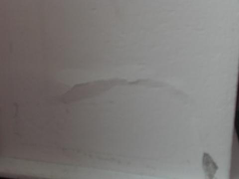 Farbe Brockelt Von Der Wand Ab Handwerker