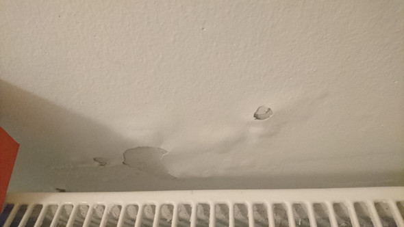 Farbe In Bad Blattert Ab Was Tun Badezimmer Wandfarbe