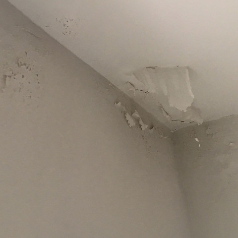 Farbe Platzt Auf Und Blattert Ab Was Ist Das Bad