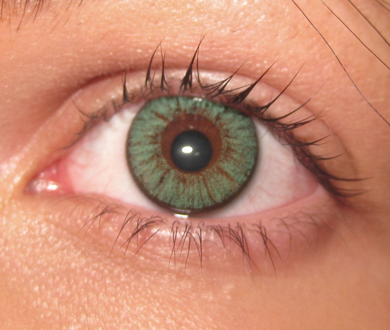 Die echt kontaktlinsen aussehen farbige Welche farbigen