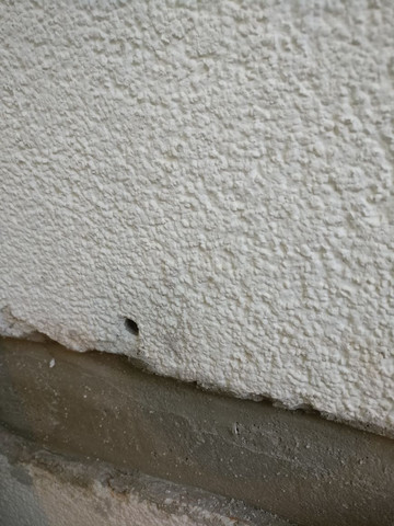 Fassadenputz - (Bau, Mauer, Oberfläche)