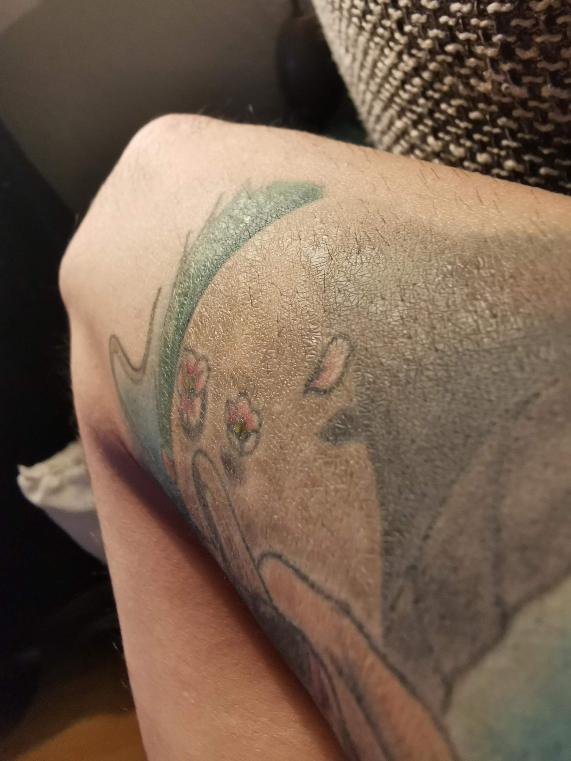 Fast 4 Monate Altes Farbiges Tattoo, hat im mittleren Bereich und außen
