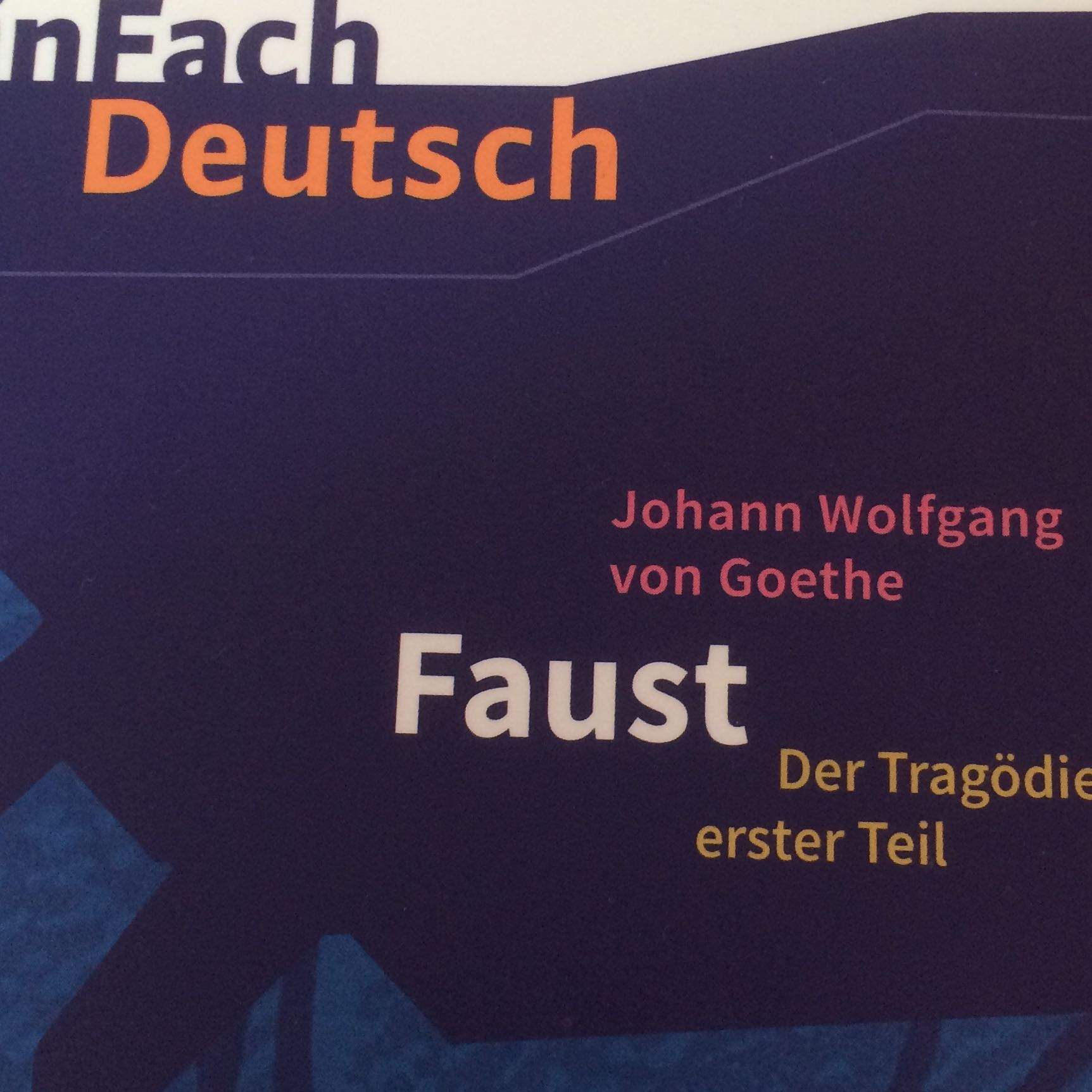 Goethes "Faust", um was geht es? (Buch)