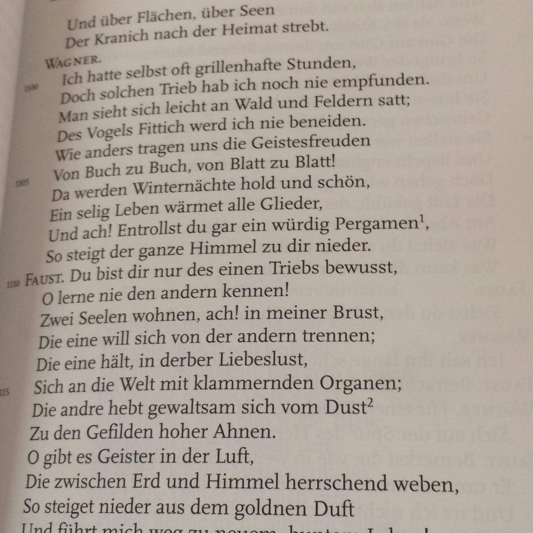 Goethes "Faust", um was geht es? (Buch)