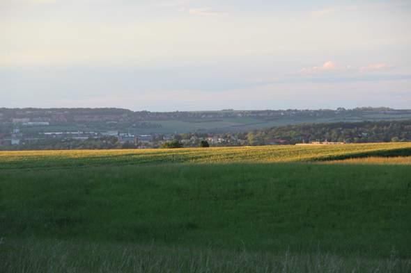 Bild zum Beitrag