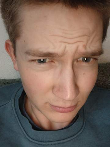 Bild zum Beitrag