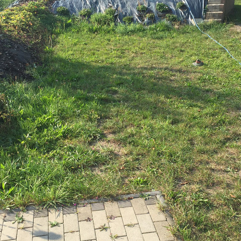 Geplant - (Standort, Feige)