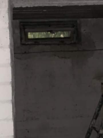 Fenster auf Katze im Keller?