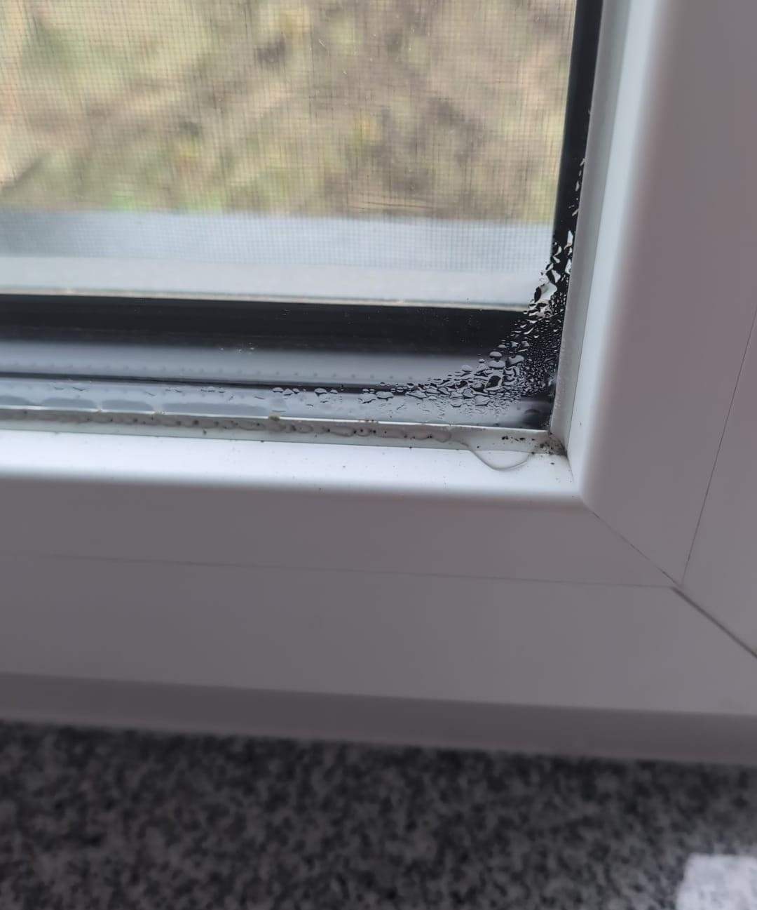 2 Fach Verglaste Fenster Beschlagen Außen Fenster innen beschlagen? (Haus, Schimmel, Feuchtigkeit)