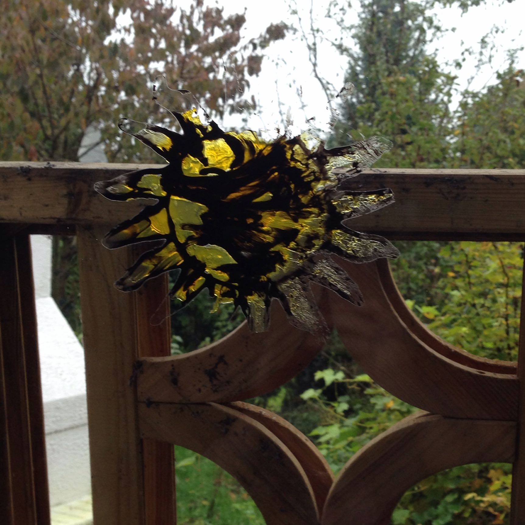 Fenster Tattoo Entfernen Ohne Restlichen Verschmierung Haus Kleber Aufkleber