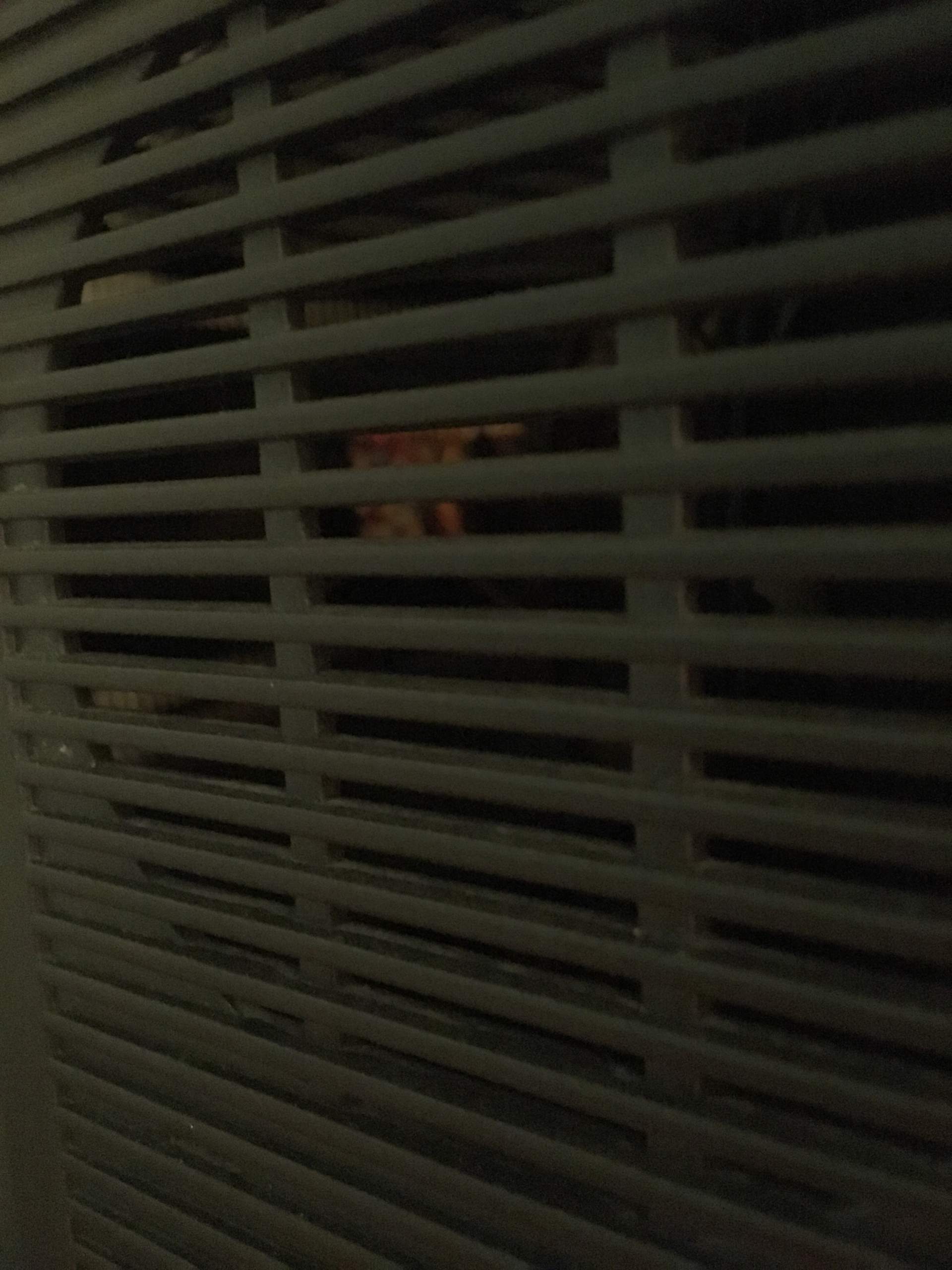 Fernseher Röhre glüht und macht komische Geräusche? Technik