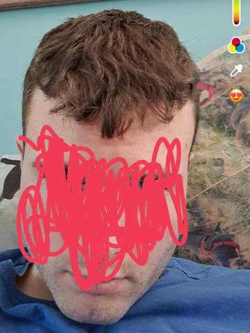 Bild zum Beitrag