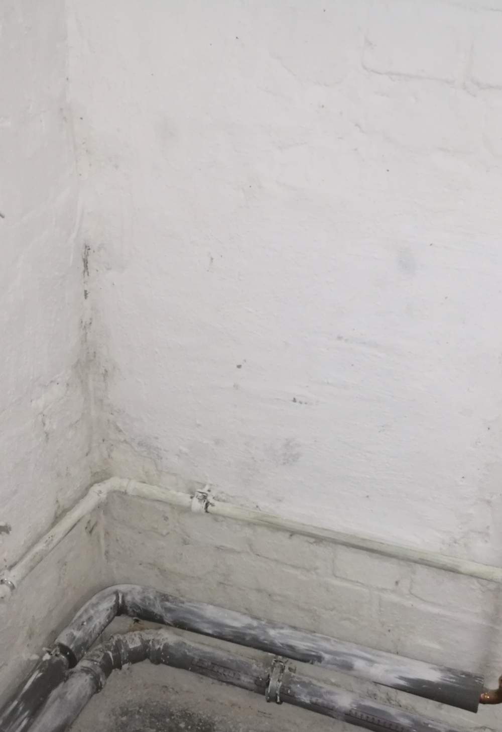 Feuchte Kellerwand im unteren Bereich, was kann ich dagegen tun? (Wand