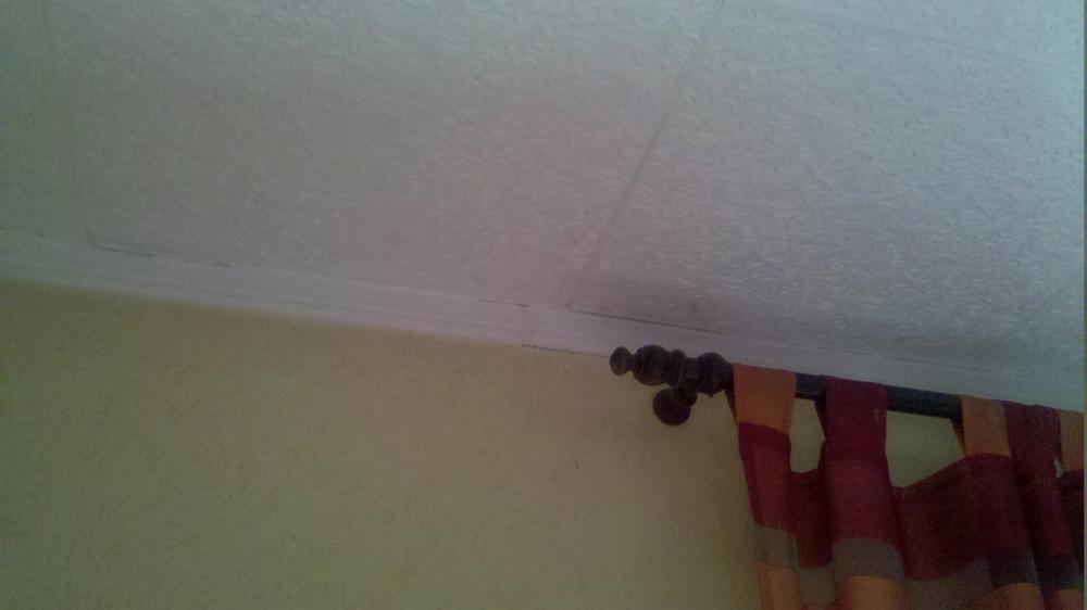 Feuchte Stellen an der Decke. Woher kommen diese (Wohnung, Schimmel, Wand)