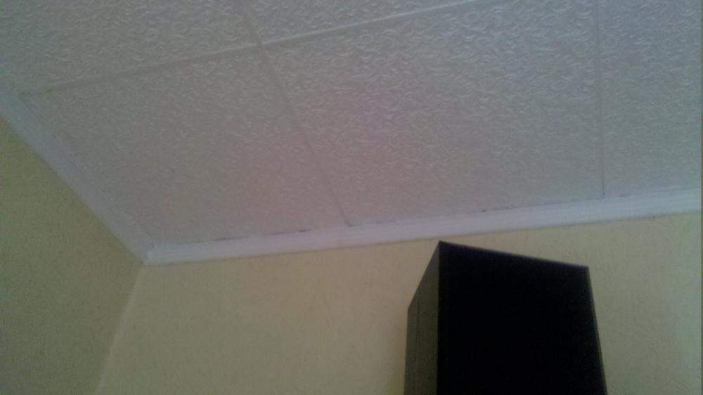 Feuchte Stellen an der Decke. Woher kommen diese (Wohnung, Schimmel, Wand)