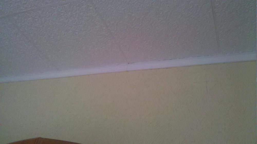 Feuchte Stellen an der Decke. Woher kommen diese (Wohnung, Schimmel, Wand)