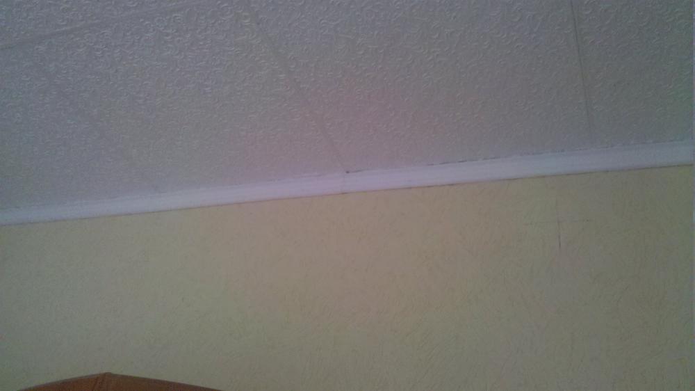 Feuchte Stellen an der Decke. Woher kommen diese (Wohnung, Schimmel, Wand)