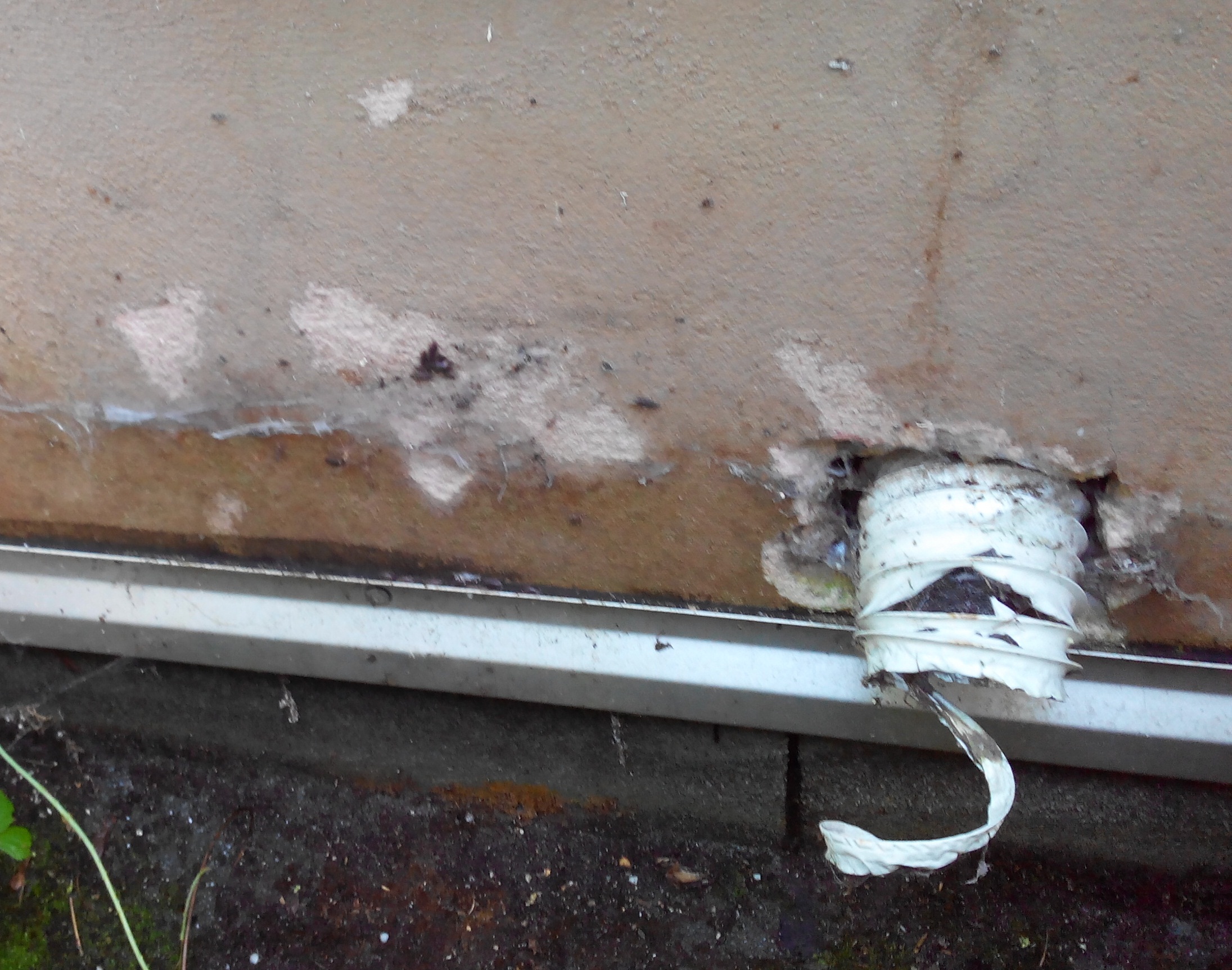 Feuchte Wand Durch Wanddurchbruch Fur Trockner Schlauch Bau Wasserschaden