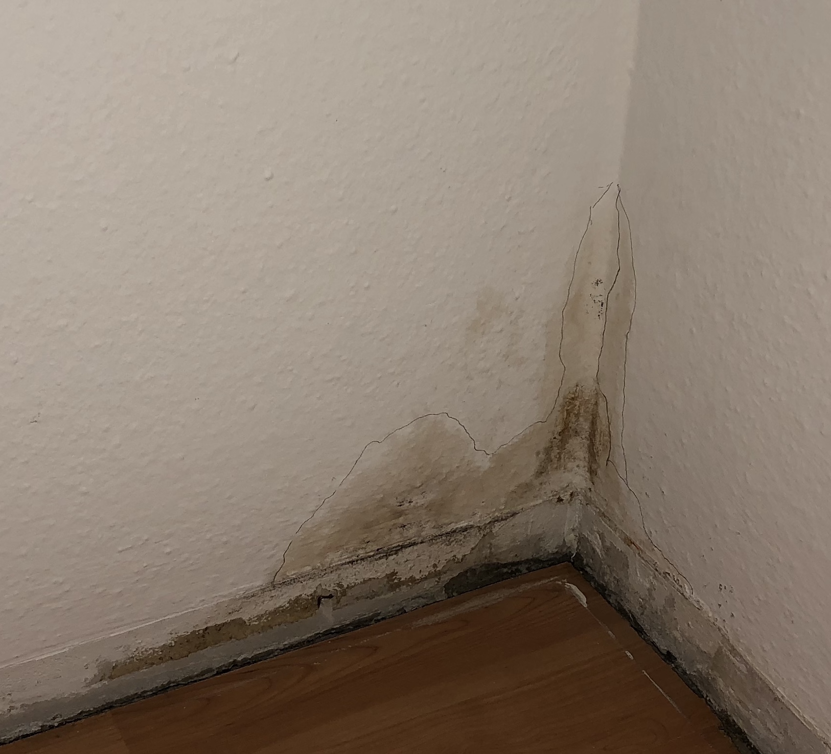 Feuchte Wand Oder Fakalien Wasserschaden