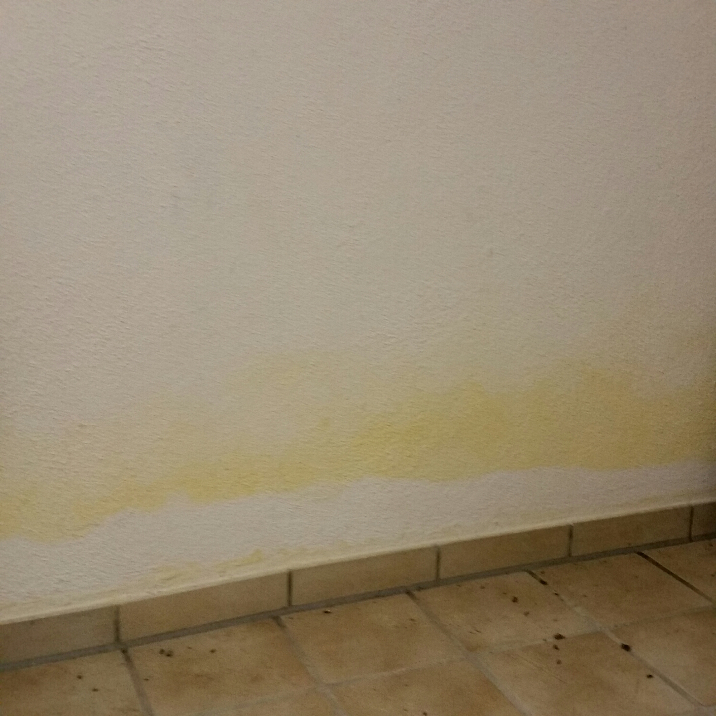 Feuchtigkeit im Keller durch falsches Lüften oder von außen? (feuchte
