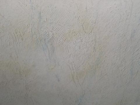 feuchtigkeit in der wand tapezieren