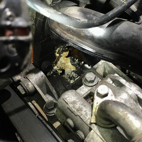 Fiesta Jd3 02 Verliert Seit Paar en Kuhlflussigkeit Von Wo Kommt Es Auto Und Motorrad