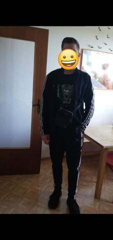 Bild zum Beitrag