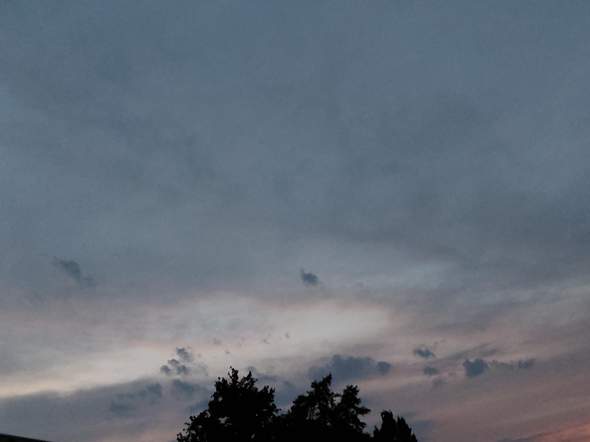 Bild zum Beitrag