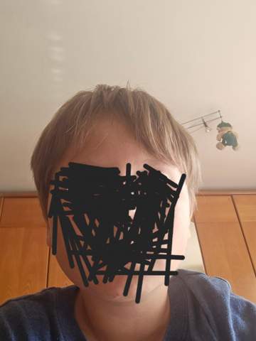 Bild zum Beitrag