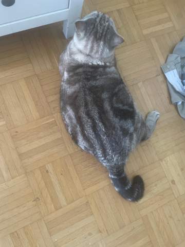 Bild zum Beitrag