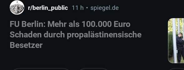 Bild zum Beitrag