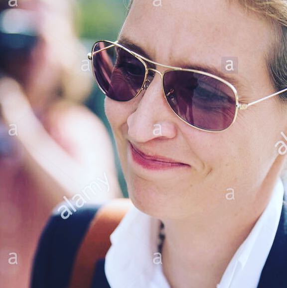 Findet ihr Alice Weidel attraktiv? (Politik, schön, AfD)
