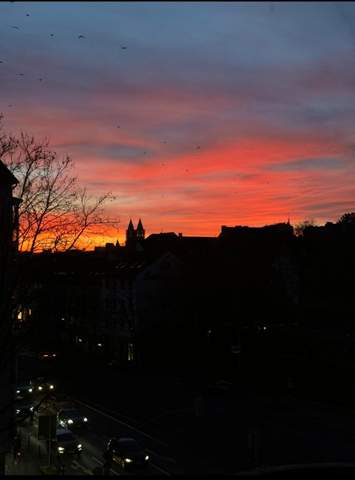 Bild zum Beitrag