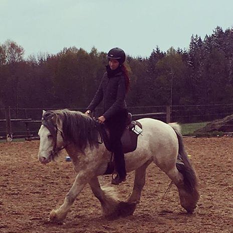 Findet Ihr Das Die Reiter Zu Gross Fur Ihre Pferde Ponys Sind Gewicht Grosse Reiten